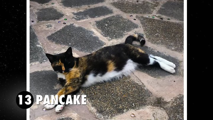 ⁣David Baddiel Cat Man S01E03 1080p WEB H264-CBFM