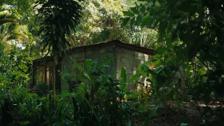 ⁣Death In Paradise S15E06 720p HEVC x265-MeGusta