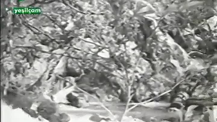 ⁣Kuyu (1968) 360p WEBRİp -TR -