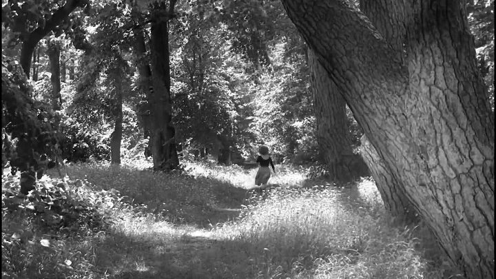 ⁣L'immortelle-The Immortal One (1963) 1080p WEBRİp x264 -FRE -+TR -SRT -