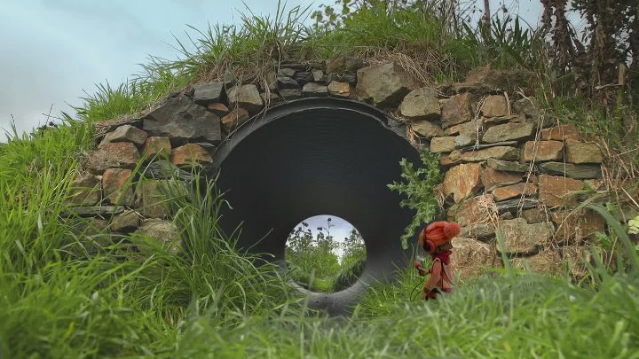 ⁣The Sound Collector S01E48 1080p WEB H264-SKYFiRE