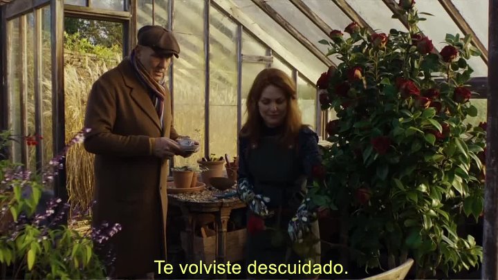 Reckless 2026 1080p WEBRip x264 AAC5 1-[YTS BZ]