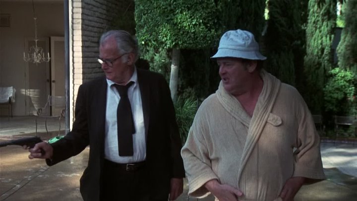 ⁣The Late Show (1977) (1080p)🌻 70's Movies