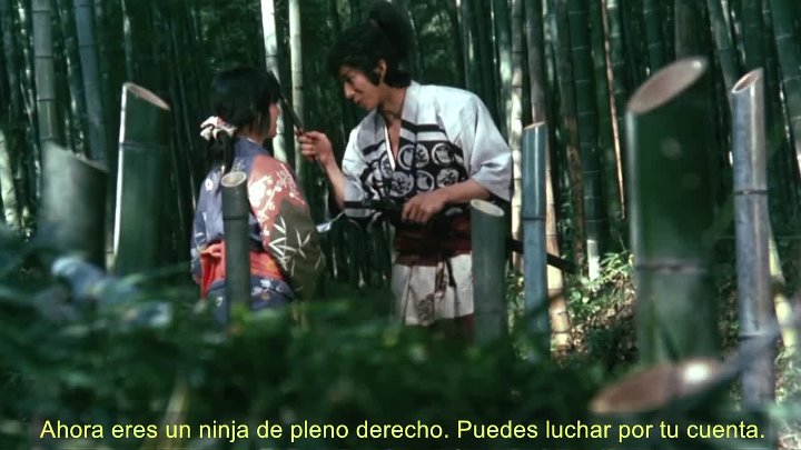 ⁣The Ninja Wars 1982 1080p BluRay x264 AAC-[YTS MX]