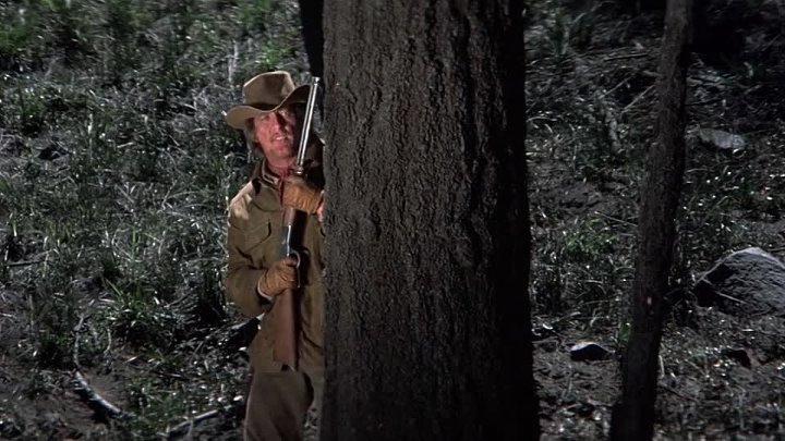 ⁣Showdown (1973) (720p)🌻 Westerns