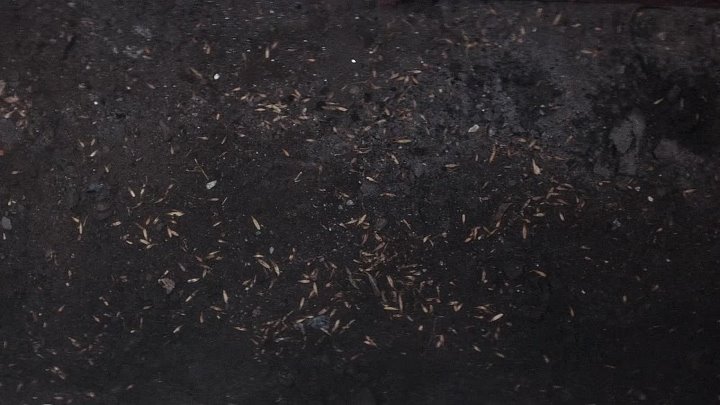 ⁣499 2020 SPANISH HC ENG SUBS REPACK 1080p BluRay x264 AAC5 1-[YTS BZ]