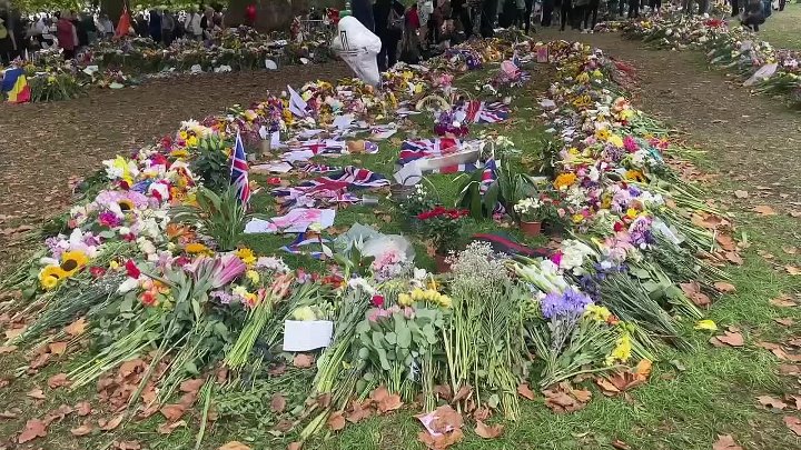 ⁣Lip Reading the Royals -What Are They Really Saying? S01E03