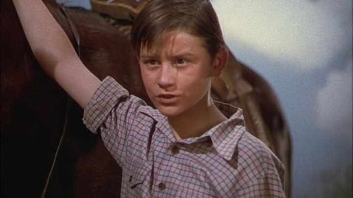 ⁣My Friend Flicka (1943) (1080p)🌻 Animation & Family Movies