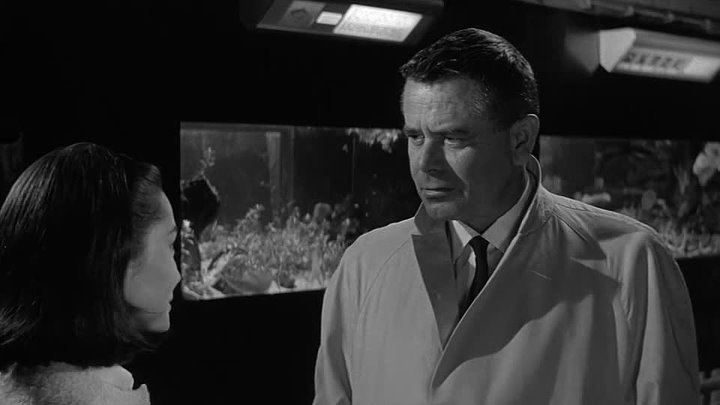 ⁣Fate Is The Hunter (1964) (720p)🌻 Black & White Films