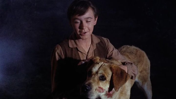 ⁣Old Yeller (1957) (1080p)🌻 Animation & Family Movies