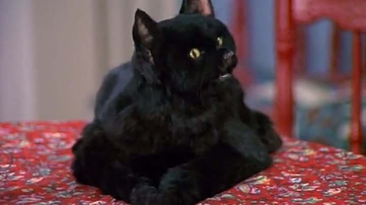 ⁣Sabrina Teenage Witch [S02E15] Finger Lickin' Flu