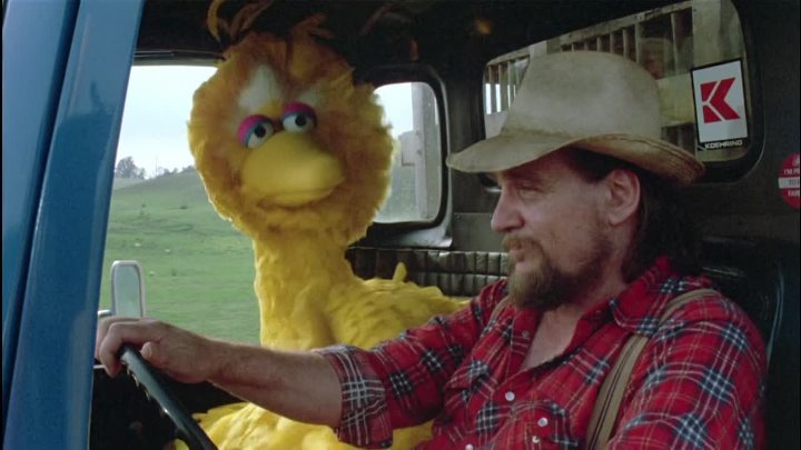 ⁣Follow That Bird (1985) (1080p)🌻 Animation & Family Movies