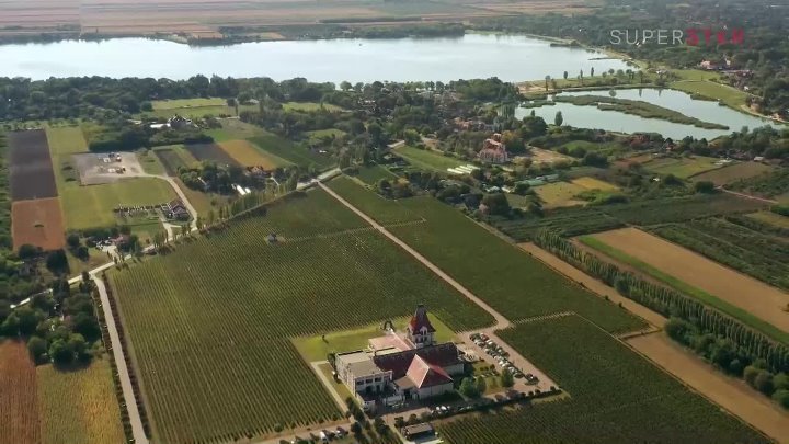 ⁣Tajne vinove loze S02E04