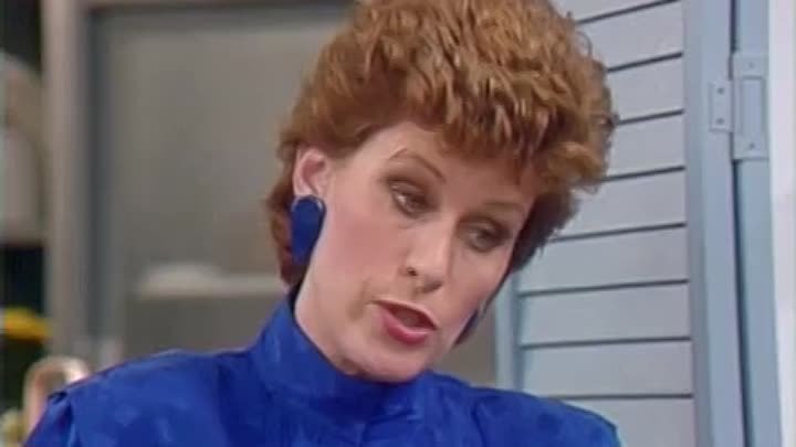 ⁣Webster [S01E18] Special Friends