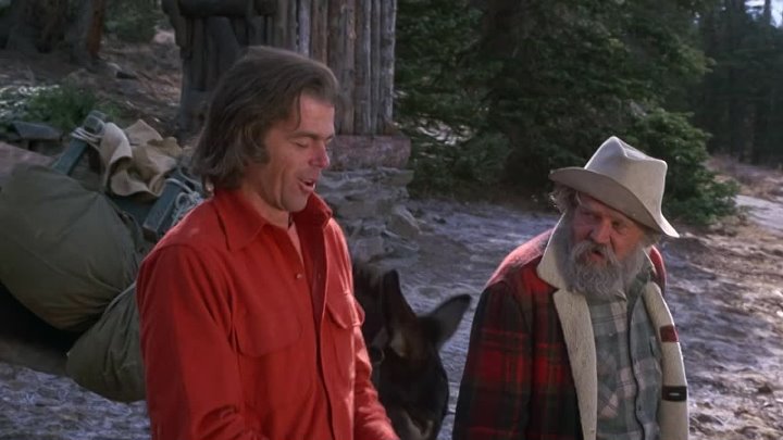 ⁣The Further Adventures Of The Wilderness Family (1978) (1080p) 🌻 Animation & Family Movies