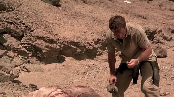 ⁣Flight Of Phoenix (2004) (720p)🌻 00's & Up Movies