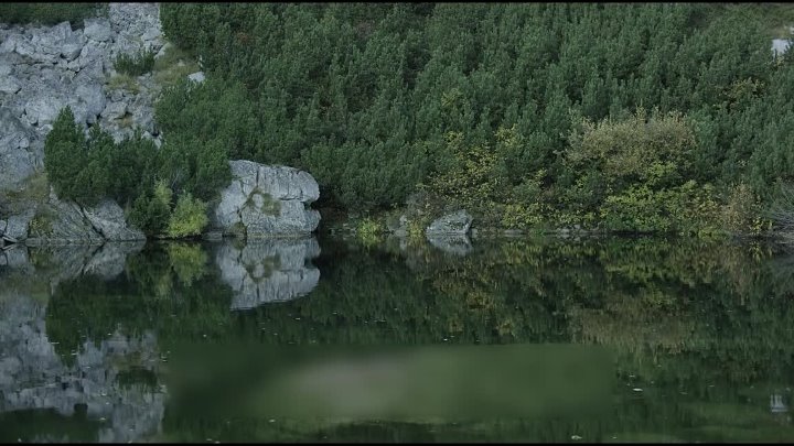 ⁣Elegija Lovora 2021