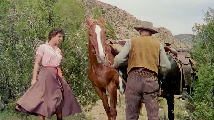 ⁣Four Guns To The Border (1954) (1080p)🌻 Westerns
