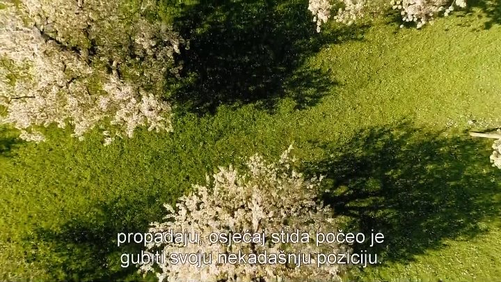 26_Odgoj i osjećaj stida