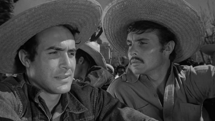 ⁣Border Incident (1949) (1080p)🌻 Film Noir