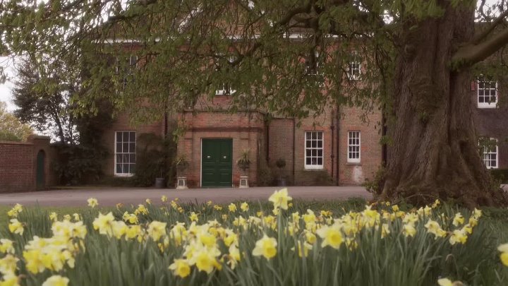 ⁣Young Hyacinth (2016) (1080p)🌻 Tv Movies & Series