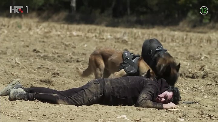 ⁣Obiteljski grijesi 90 KRAJ SERIJE