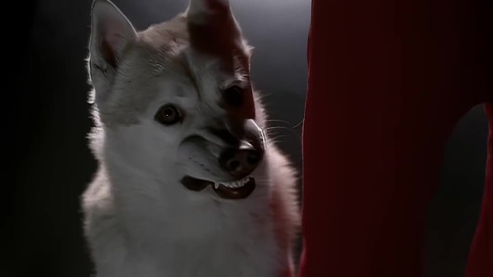 ⁣Due South - S02E08 - One Good Man