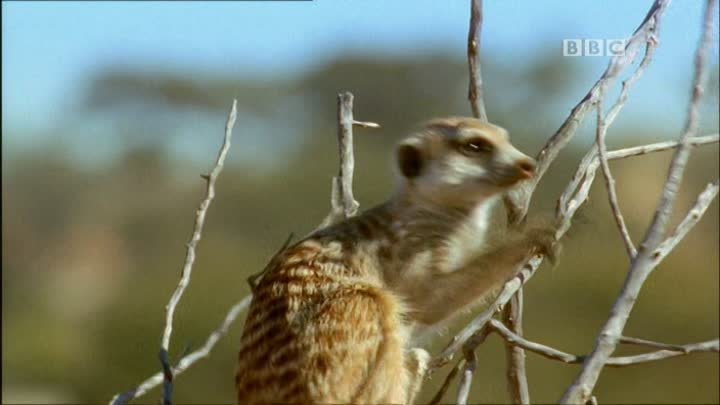 ⁣Video to Music Sequence