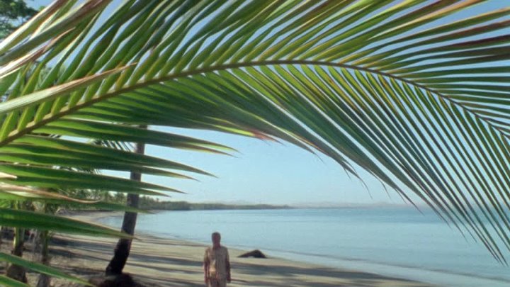 ⁣Life on Earth (1979) - S01E02 - Building Bodies (1080p)