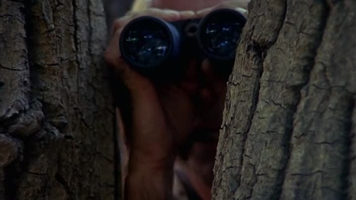 ⁣JAG S04E04 Going After Francesca