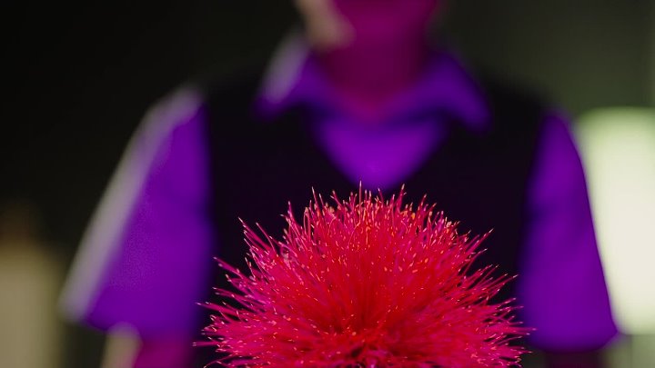 ⁣Little Joe (2019) [720p] - Emily Beecham, Ben Whishaw, Kerry Fox