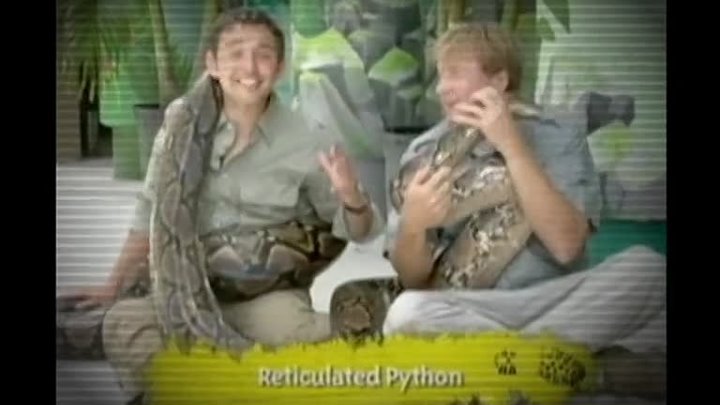 ⁣The Elephant In The Living Room (2010) Documentary (720p)