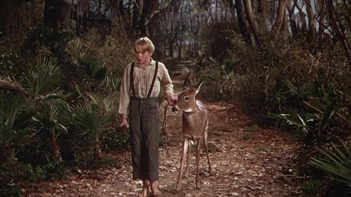 ⁣The Yearling (1946) (720p) 🌻 Movies