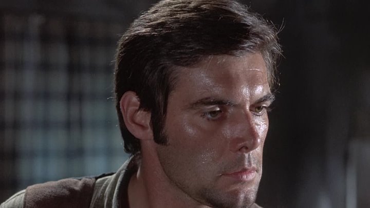 ⁣Hornets Nest (1970) (1080p)🌻 70's Movies