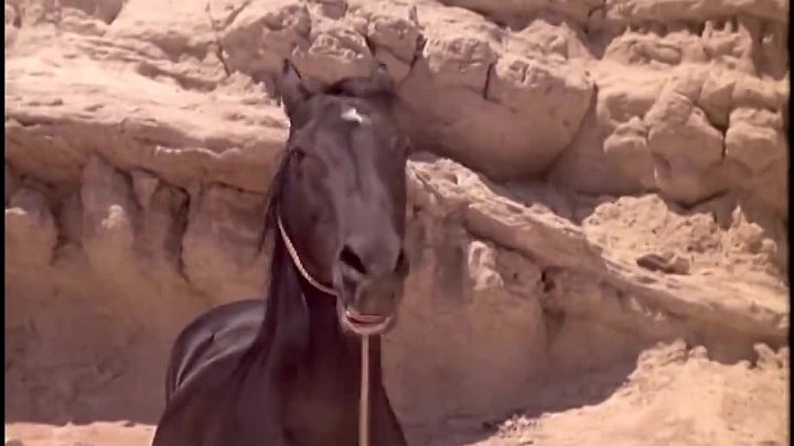 ⁣Bonanza (1964) [S06E3] The Wild One