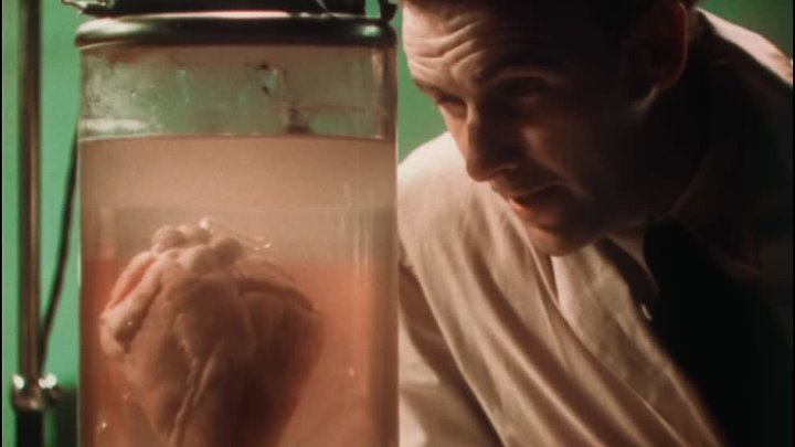 ⁣Doctor X (1932) Technicolor (1080p) +subtitle