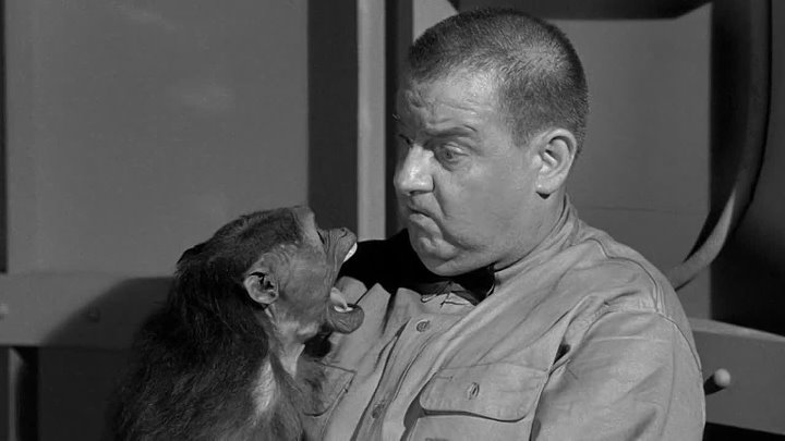 ⁣Have Rocket Will Travel (1959) (720p)🌻 Movies