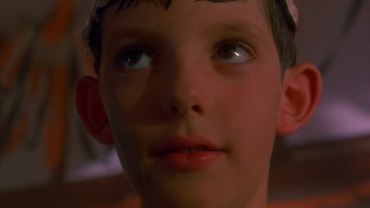 ⁣Lady In White (1988) DCut (1080p)🌻 Movies