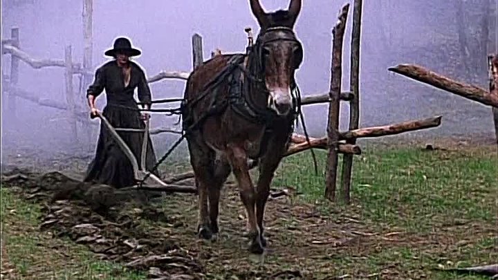 ⁣Pharaohs Army (1995)