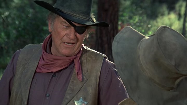 ⁣Rooster Cogburn (1975) (720p)🌻 Movies