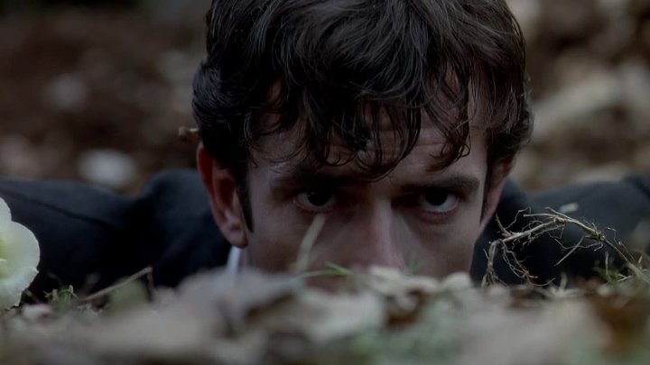 ⁣Cemetery Man (1994) (1080p)🌻 Movies