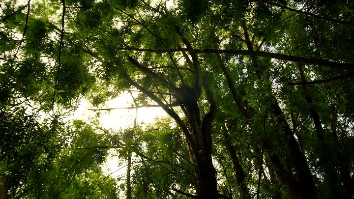 ⁣Mortimer And Whitehouse Gone Fishing [S05E05]