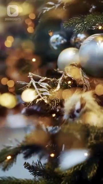 ⁣Santa Sent Me a Billionaire Husband EngSub #dramashorts