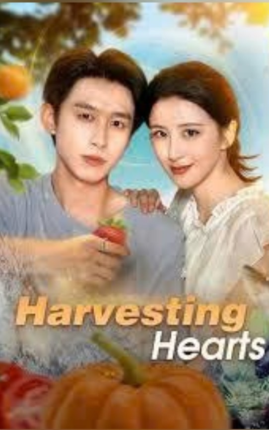 ⁣Harvesting Hearts [ Engsub ]