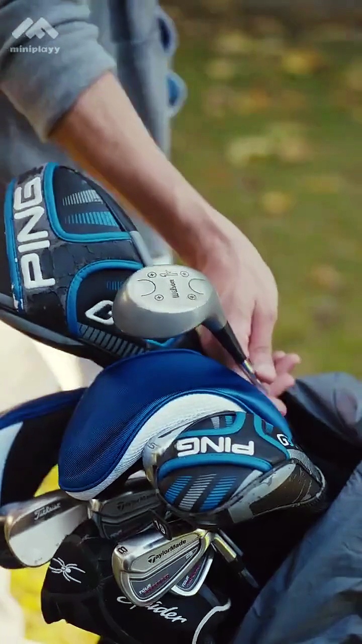 Love in Academia shortmintz