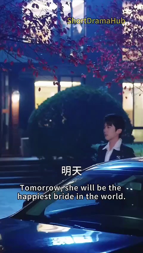 ⁣Fresh Start After the Storm 2026 - Chinese drama Engsub