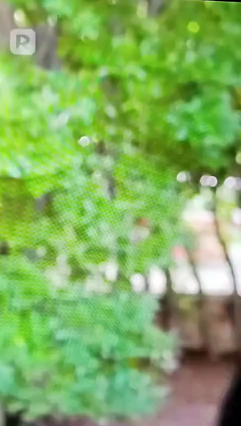 ⁣My Submissive Slave 2