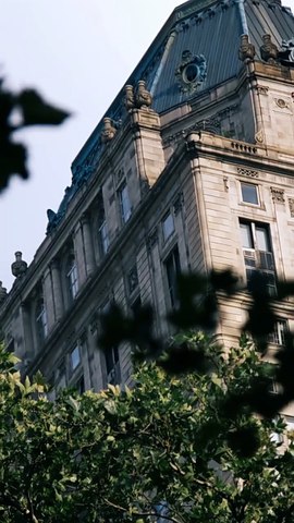 ⁣Widow to Queen The Alpha's Resurrection - FULL | Reelshort