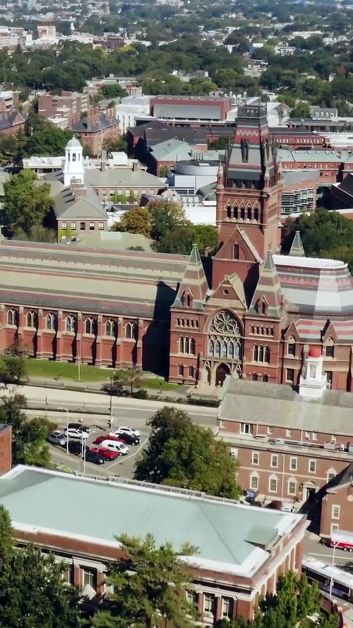 ⁣Tempted By My Ex's Professor Daddy shortical