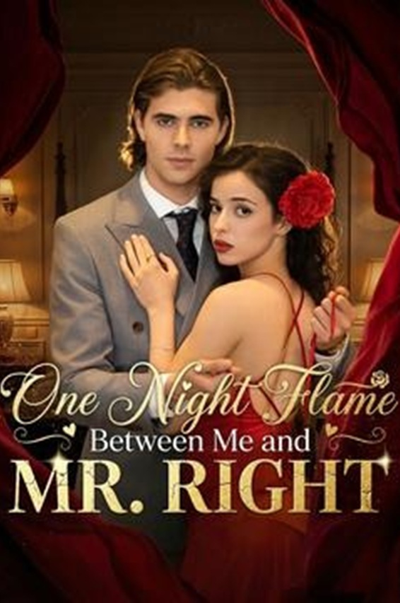 ⁣One Night Flame Between Me and Mr
